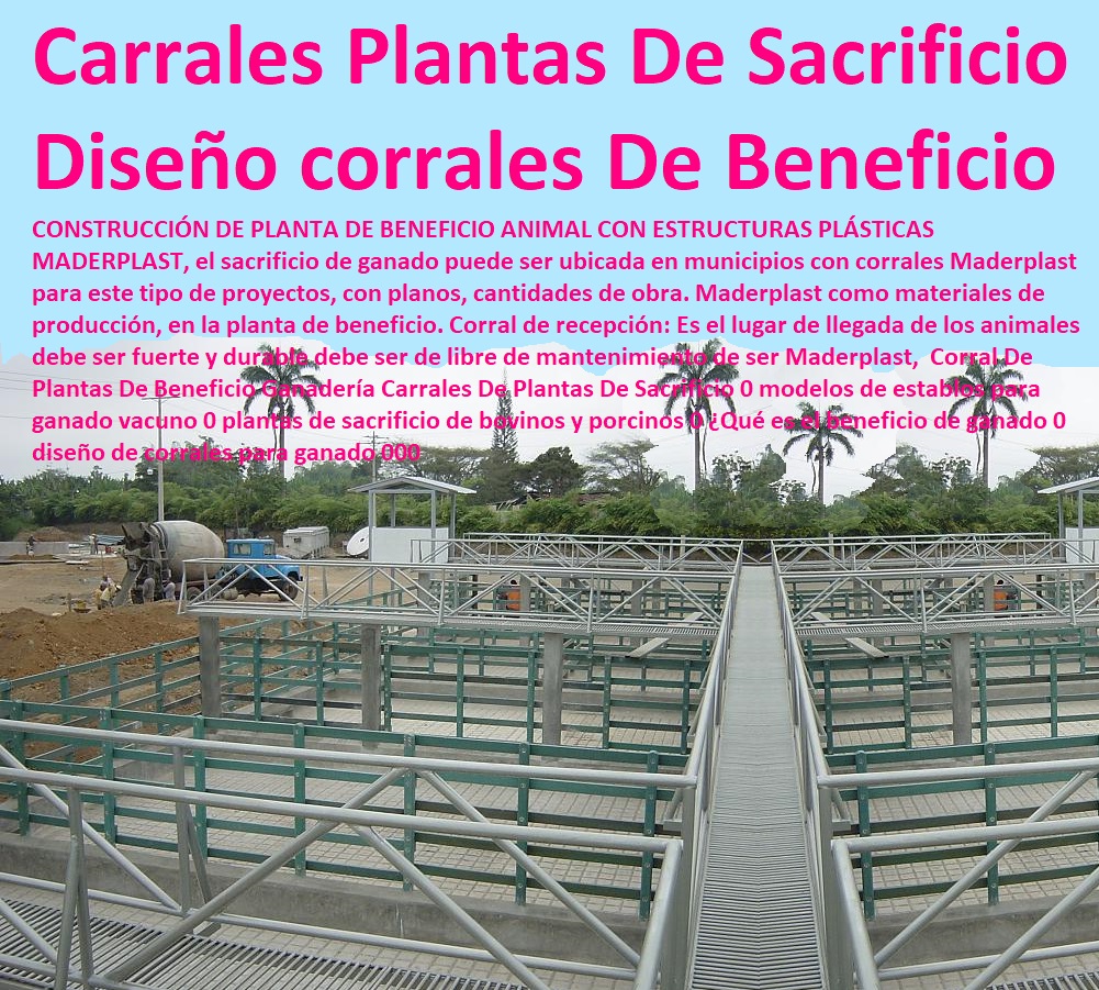 Corral De Plantas De Beneficio Ganadería Carrales De Plantas De Sacrificio 0 modelos de establos para ganado vacuno 0 Corrales, Establos De Ganado, Mangas De Coleo, Corral Caballerizas, Pesebreras De Caballos, Plaza Toros, Brete Ganadero, Apretaderos Embarcaderos, Postes Tablas, Polines Varetas, Horcones Madera Plástica, plantas de sacrificio de bovinos y porcinos 0 ¿Qué es el beneficio de ganado 0 diseño de corrales para ganado 000 Corral De Plantas De Beneficio Ganadería Carrales De Plantas De Sacrificio 0 modelos de establos para ganado vacuno 0 plantas de sacrificio de bovinos y porcinos 0 ¿Qué es el beneficio de ganado 0 diseño de corrales para ganado 000